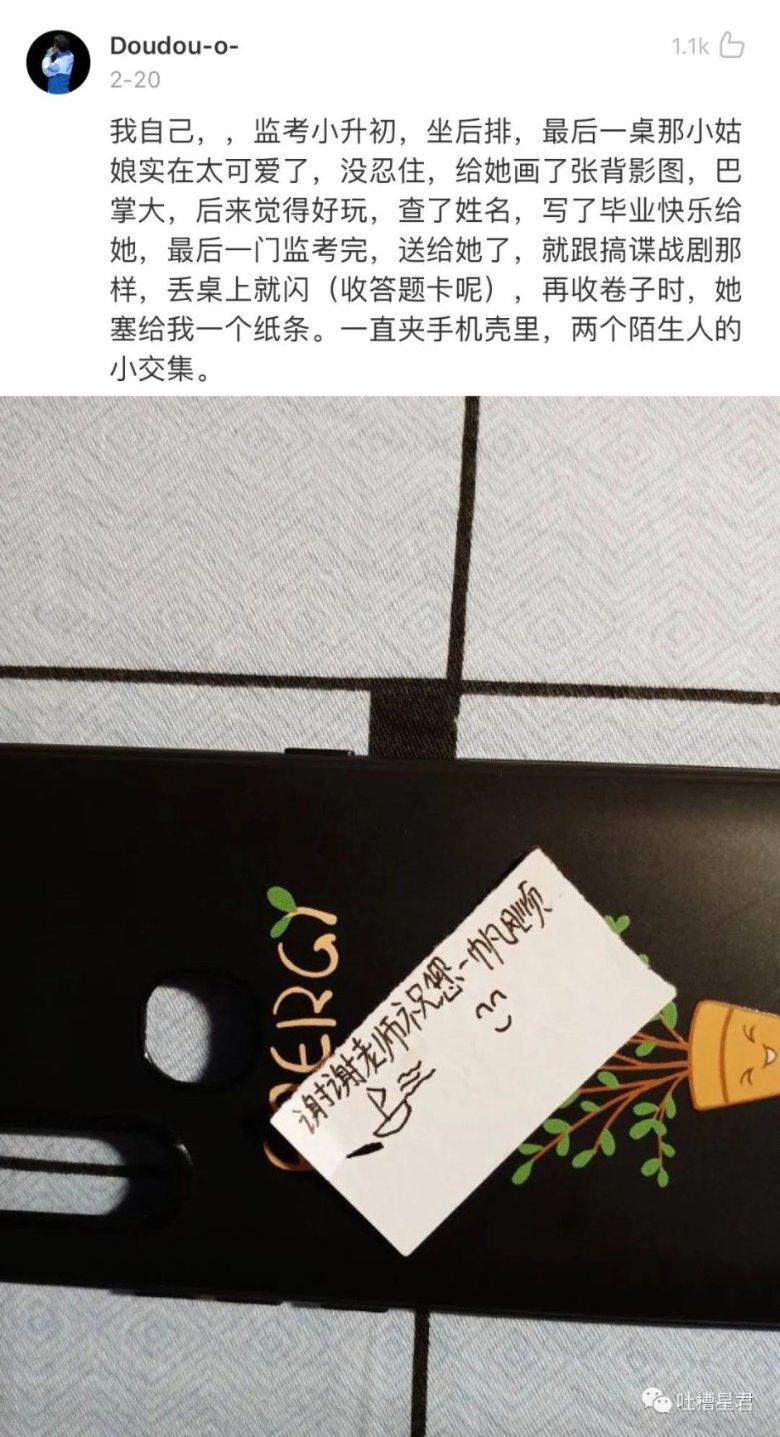 动物狂欢夜